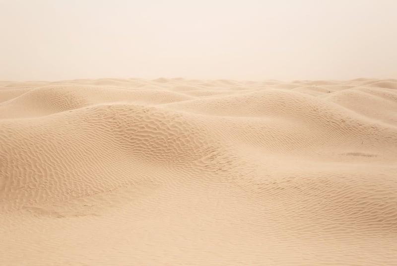 Desert Sunset