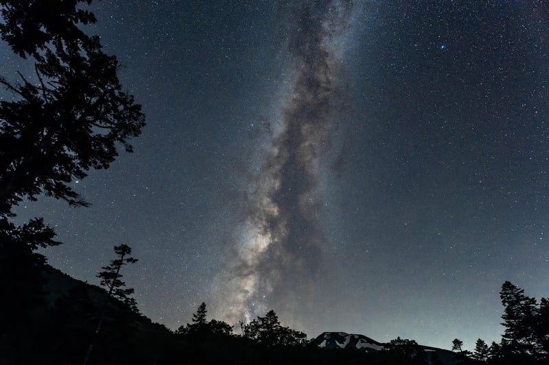 Milky Way over the jungle