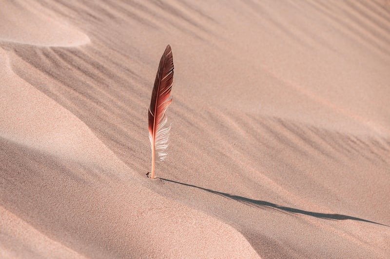 Sandboarding in the Desert