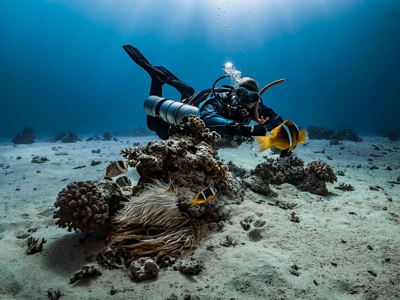 Deep Sea Diving